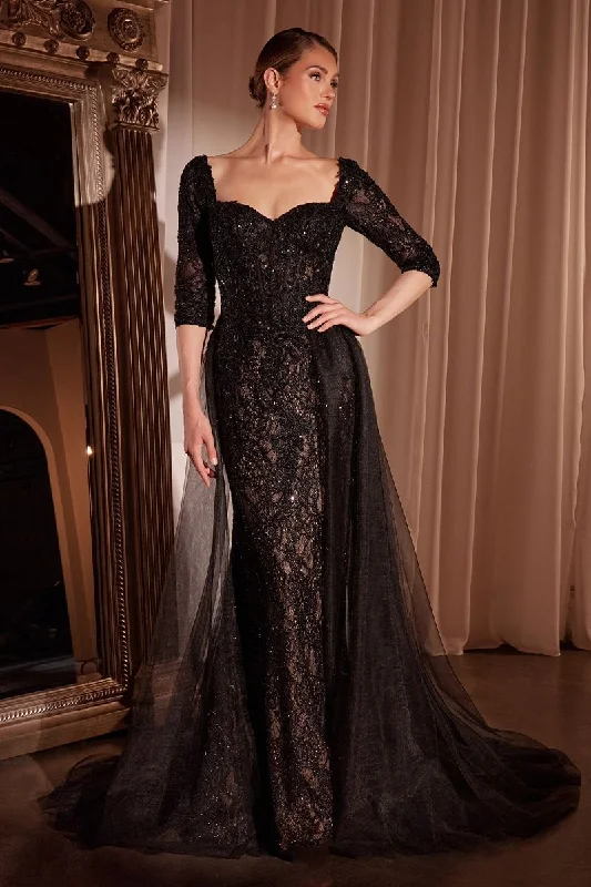 Season Transition Versatile Wear Clearance Cinderella Divine CD749 Fitted Long Formal Applique Overskirt Evening Dress