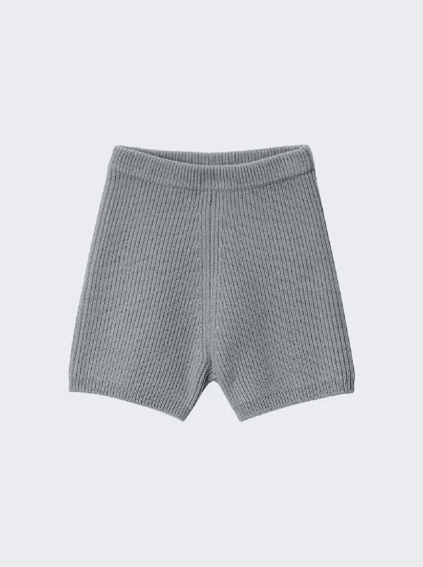 Exclusive Deals Online Alexander Wang Bike Shorts Grey